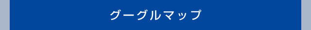 グーグルマップ